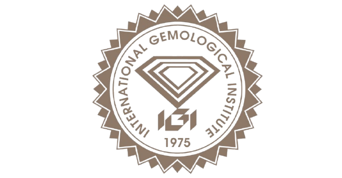 Untitled_design-removebg-preview (1)